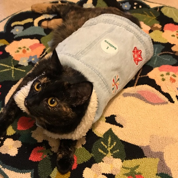 Meet your Posher, Stephanie - Picture 2 of 2